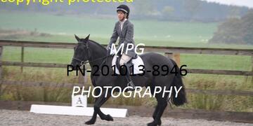 Dressage at Pastures New EC on Sunday 20 10 2013