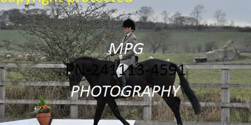 Dressage at Pastures New on Sunday 24 11 2013