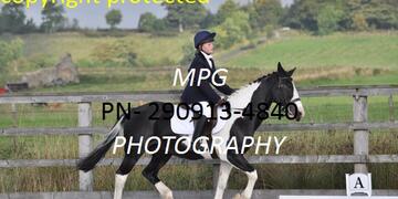 Dressage at Pastures New on Sunday 29 09 2013