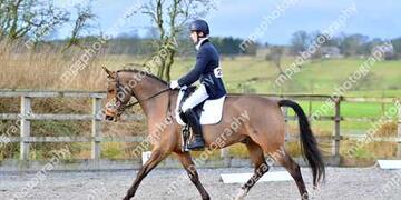 Dressage at  Pastures New on Sunday 24 01 2016